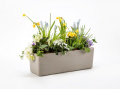 Samozavlažovací truhlík Berberis 80x19,5x19,7 cm, taupe / béžová